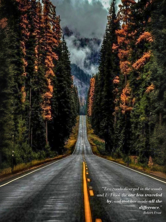 The Road Less Traveled - Framed Canvas Art