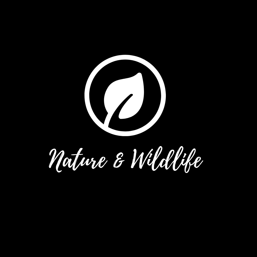 Nature & Wildlife